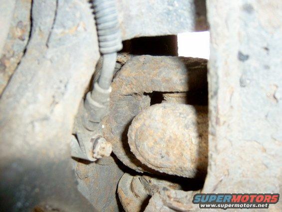 s3500514.jpg DAMN YOU!!!!