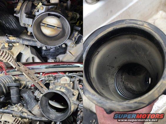 20200905_195859.jpg The air filter either wasn't installed right, or was left in too long because the fresh-air duct & TB were dusty. Both got cleaned.