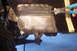 1995 Ford Bronco photo