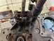 1979 Jeep CJ5 photo