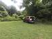 1994 Ford Bronco photo