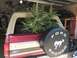 1994 Ford Bronco photo