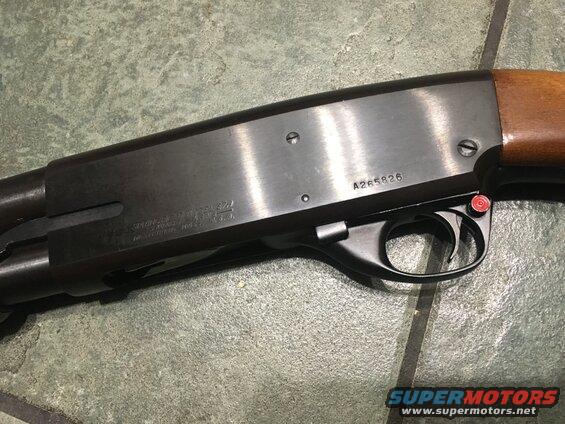 Springfield 67H #14