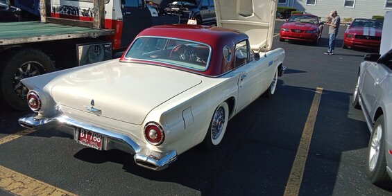 all-ford-6.jpg 