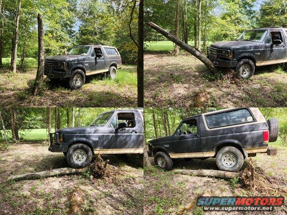 treecrawl22.jpg Another dead tree had to come down, and this is the easiest way to get the stump out of the ground.
IF THE IMAGE IS TOO SMALL, click it.