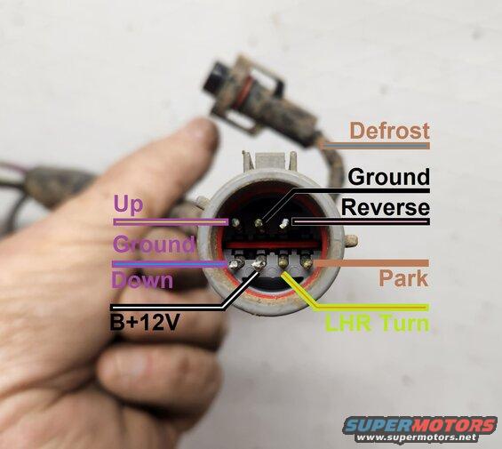 conn89b2b.jpg Tailgate Connector '87-91
IF THE IMAGE IS TOO SMALL, click it.

.

See also:
[url=https://www.supermotors.net/registry/media/692844][img]https://www.supermotors.net/getfile/692844/thumbnail/tgmotorwiring.jpg[/img][/url] . [url=https://www.supermotors.net/registry/media/1174807][img]https://www.supermotors.net/getfile/1174807/thumbnail/terminals-tinned.jpg[/img][/url] . [url=https://www.supermotors.net/registry/media/1174806][img]https://www.supermotors.net/getfile/1174806/thumbnail/switchtesting.jpg[/img][/url] . [url=https://www.supermotors.net/registry/media/1174802][img]https://www.supermotors.net/getfile/1174802/thumbnail/switch89c274.jpg[/img][/url] . [url=https://www.supermotors.net/registry/media/1174788][img]https://www.supermotors.net/getfile/1174788/thumbnail/latchswcont.jpg[/img][/url] . [url=https://www.supermotors.net/registry/media/1174781][img]https://www.supermotors.net/getfile/1174781/thumbnail/interptsw.jpg[/img][/url] . [url=https://www.supermotors.net/registry/media/1174777][img]https://www.supermotors.net/getfile/1174777/thumbnail/defrost9296.jpg[/img][/url] . [url=https://www.supermotors.net/registry/media/1174772][img]https://www.supermotors.net/getfile/1174772/thumbnail/connectorscmpr.jpg[/img][/url] . [url=https://www.supermotors.net/registry/media/1174769][img]https://www.supermotors.net/getfile/1174769/thumbnail/circuit93.jpg[/img][/url] . [url=https://www.supermotors.net/registry/media/1174770][img]https://www.supermotors.net/getfile/1174770/thumbnail/circuitmods.jpg[/img][/url] . [url=https://www.supermotors.net/registry/media/1174816][img]https://www.supermotors.net/getfile/1174816/thumbnail/wiringb.jpg[/img][/url] . [url=https://www.supermotors.net/registry/media/1174815][img]https://www.supermotors.net/getfile/1174815/thumbnail/wiring.jpg[/img][/url]