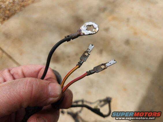terminals-tinned.jpg Tinned Terminals
IF THE IMAGE IS TOO SMALL, click it.

The corrosion on these was bad enough to sandblast them, then dip them in a crucible of molten electrical solder.

See also:
[url=https://www.supermotors.net/registry/media/692844][img]https://www.supermotors.net/getfile/692844/thumbnail/tgmotorwiring.jpg[/img][/url] . [url=https://www.supermotors.net/registry/media/1174806][img]https://www.supermotors.net/getfile/1174806/thumbnail/switchtesting.jpg[/img][/url] . [url=https://www.supermotors.net/registry/media/1174802][img]https://www.supermotors.net/getfile/1174802/thumbnail/switch89c274.jpg[/img][/url] . [url=https://www.supermotors.net/registry/media/1174788][img]https://www.supermotors.net/getfile/1174788/thumbnail/latchswcont.jpg[/img][/url] . [url=https://www.supermotors.net/registry/media/1174781][img]https://www.supermotors.net/getfile/1174781/thumbnail/interptsw.jpg[/img][/url] . [url=https://www.supermotors.net/registry/media/1174777][img]https://www.supermotors.net/getfile/1174777/thumbnail/defrost9296.jpg[/img][/url] . [url=https://www.supermotors.net/registry/media/1174772][img]https://www.supermotors.net/getfile/1174772/thumbnail/connectorscmpr.jpg[/img][/url] . [url=https://www.supermotors.net/registry/media/1174771][img]https://www.supermotors.net/getfile/1174771/thumbnail/conn89b2b.jpg[/img][/url] . [url=https://www.supermotors.net/registry/media/1174769][img]https://www.supermotors.net/getfile/1174769/thumbnail/circuit93.jpg[/img][/url] . [url=https://www.supermotors.net/registry/media/1174770][img]https://www.supermotors.net/getfile/1174770/thumbnail/circuitmods.jpg[/img][/url] . [url=https://www.supermotors.net/registry/media/1174816][img]https://www.supermotors.net/getfile/1174816/thumbnail/wiringb.jpg[/img][/url] . [url=https://www.supermotors.net/registry/media/1174815][img]https://www.supermotors.net/getfile/1174815/thumbnail/wiring.jpg[/img][/url]