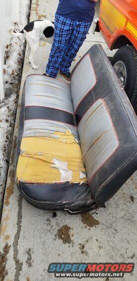 Dog sniffing near a torn-up vehicle seat. Part of an orange vehicle is visible