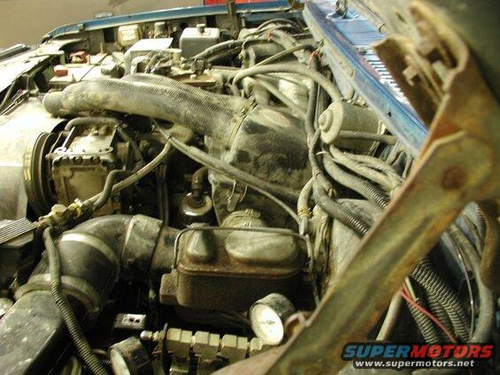 Engine bay with hoses, brake fluid reservoir, and pressure gauge.