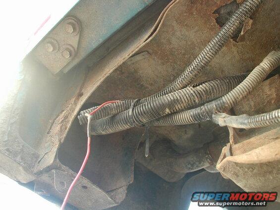 Close up of the left rear fender.
