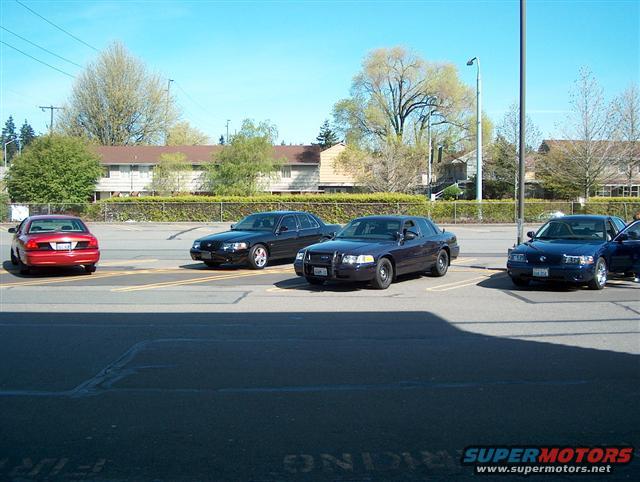 Four sedans parked in a lot, including a red sedan, a black sedan, a dark blue sedan, and a lighter blue sedan. The dark blue sedan is a 2001 Ford Crown Victoria
