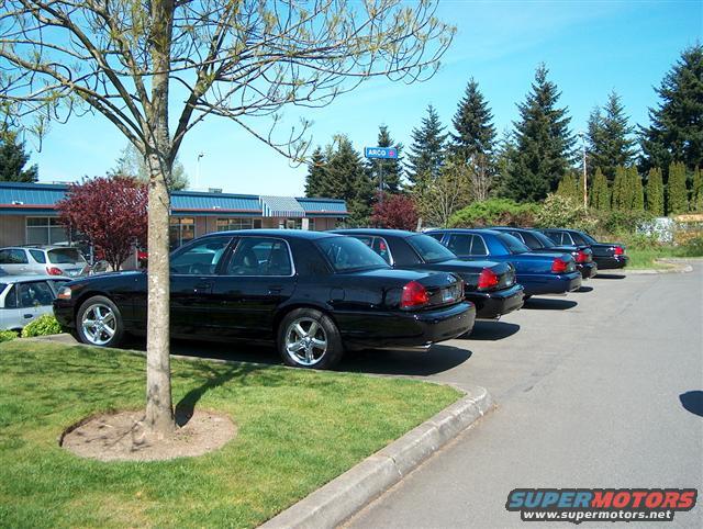 Several black and blue Ford Crown Victorias parked in a lot