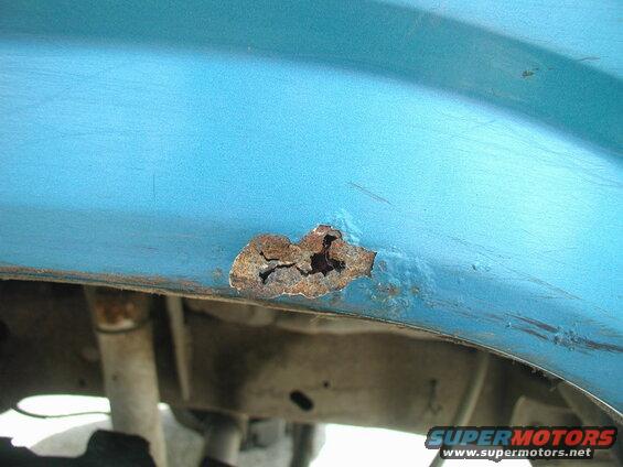Passenger side, front fender.