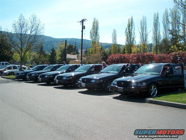 Row of black 2001 Ford Crown Victorias parked in a lot, front three-quarter view