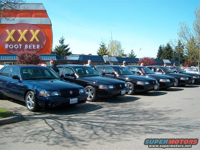 Line of black Ford Crown Victoria police cars parked in front of XXX Root Beer sign