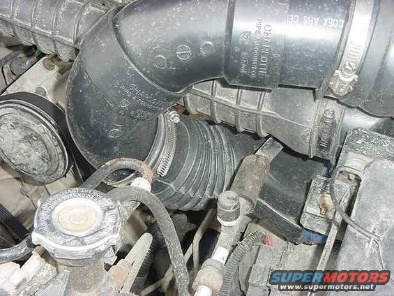 Close-up of vehicle engine parts: black ribbed hose, metal clamp, silver radiator cap, black hoses.