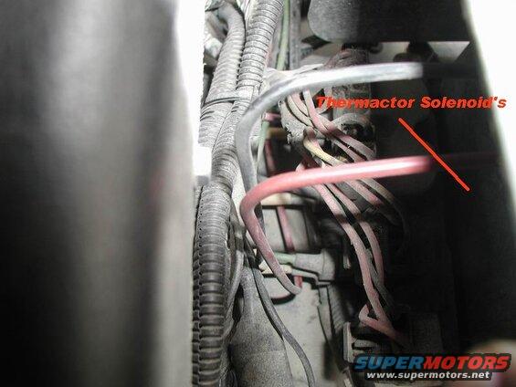Close-up of vehicle wiring harness with a Thermactor Solenoid labeled.