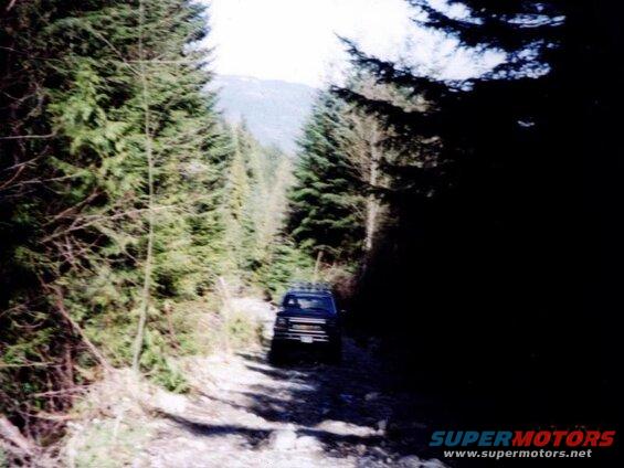 1985 Ford Bronco on a dirt road in a forest.