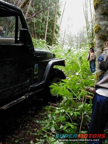 John is first to go over the fallen tree. We had to stack up rocks and small branches to make a ramp.