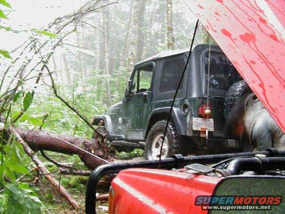 Greg winched off of a tree in front of John.