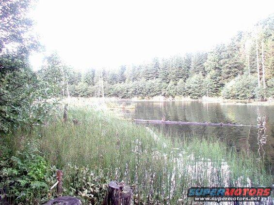 Wolf Lake.
