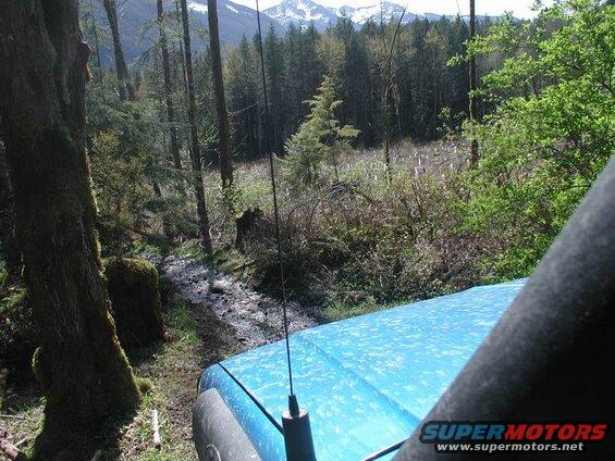 Side road off the Chilliwack Bench FSR.