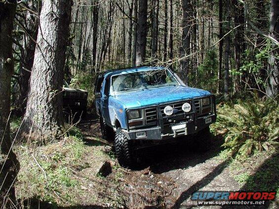 Side road off the Chilliwack Bench FSR.