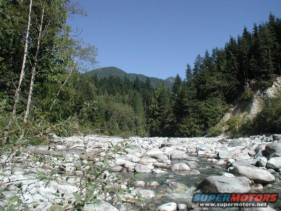 Looking North, up Norrish Creek.