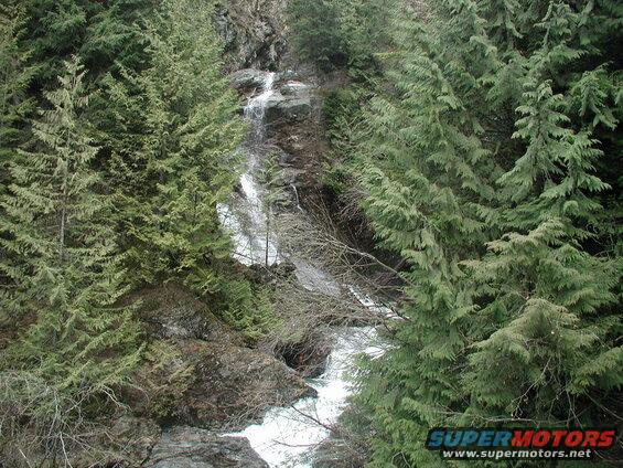 Waterfall in a forest with evergreen trees