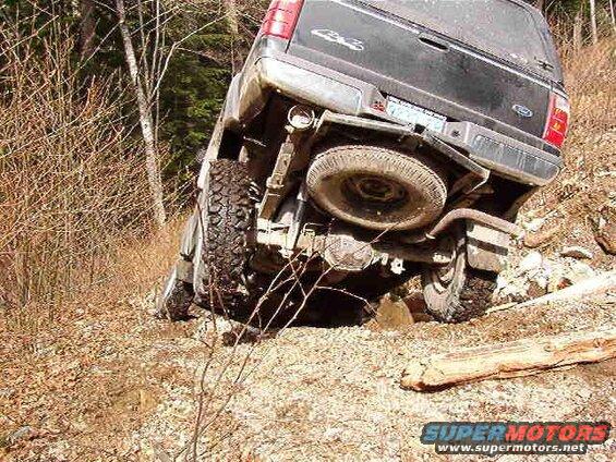 Rear view of a dark SUV tilted on a steep wooded hill.