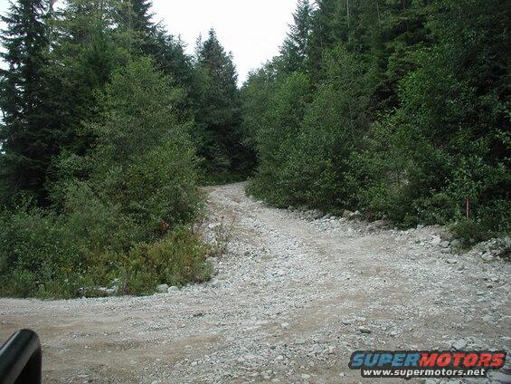 The road up to the powerlines.