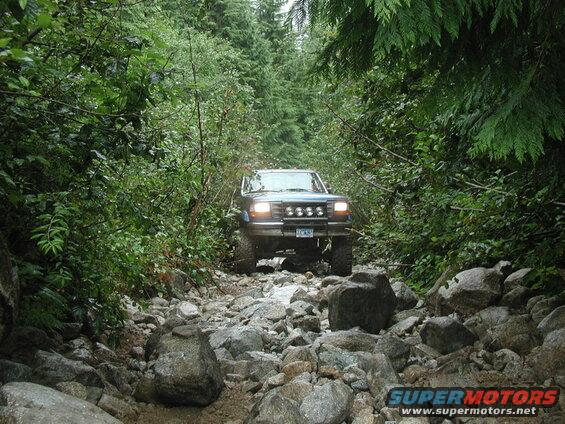 Blue Ford Bronco driving on a rocky, overgrown trail.