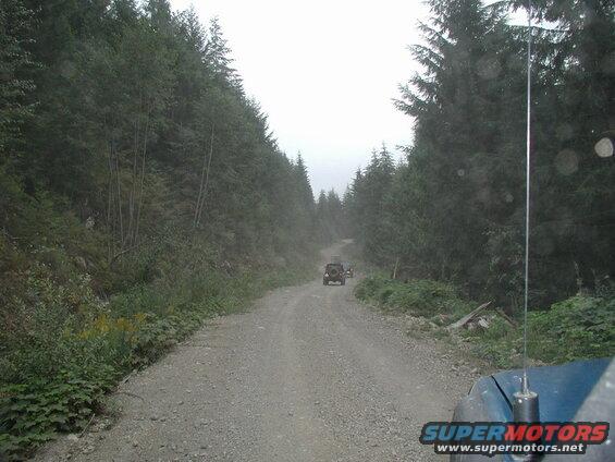 The start of the Mystery Creek FSR.