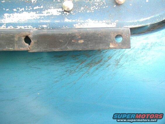Here are some of the marks that the tree's left on Blue.