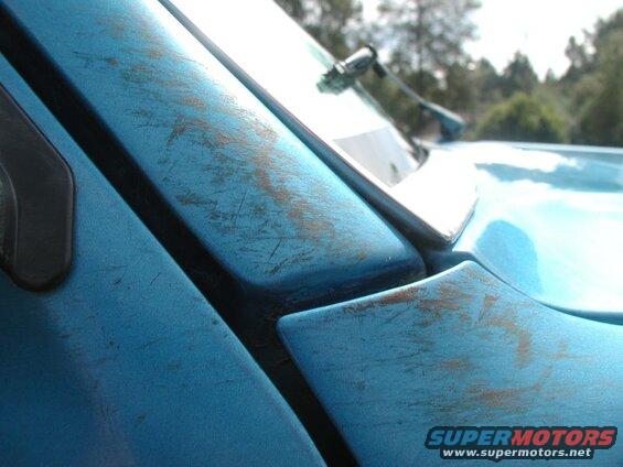 It is the bark stuck to the paint, and you can scrape it.