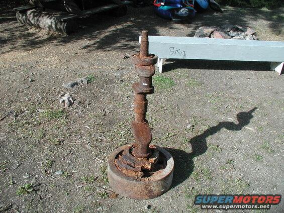 I saw this by the boat launch. Not sure what it was.