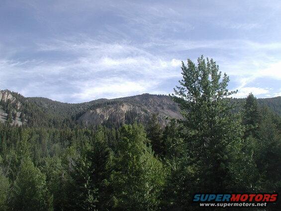 Forest landscape with mountains and trees under a cloudy sky.