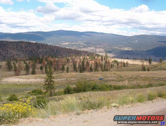 Blue SUV on a dirt road with wildflowers and pine trees in a hilly landscape.