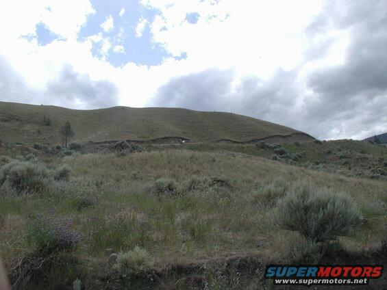 Grassy hillside with a dirt road and scattered shrubs under a cloudy sky.