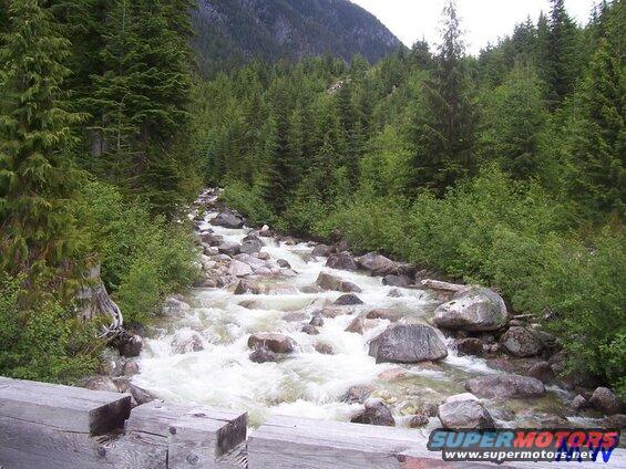 A river flowing through a forest with mountains in the background.