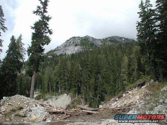 Landslide with debris and forest in front of a rocky mountain peak.