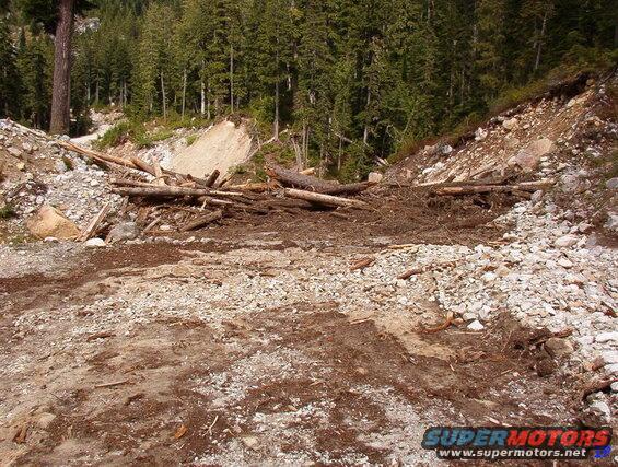 Landslide blocking a dirt road with logs and debris in a forest.