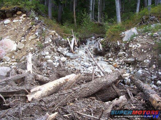 Landslide in a forest with debris and a stream.