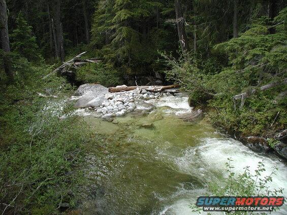A river flowing through a dense forest with rocky banks and fallen logs.