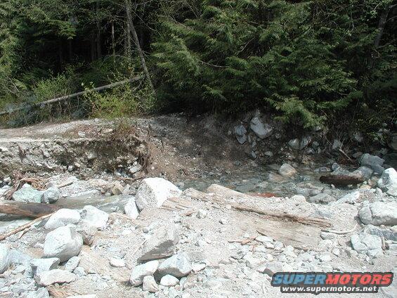 Rocky stream bed with fallen trees and forest.