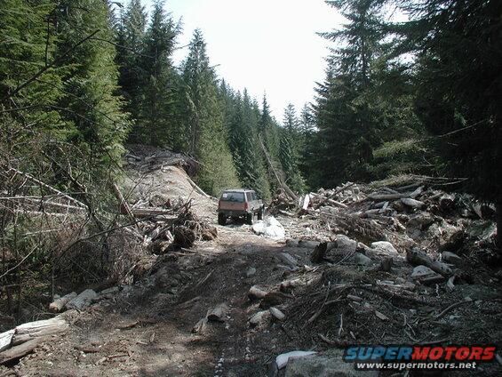 Tan 1985 Ford Bronco on a debris-filled forest road.
