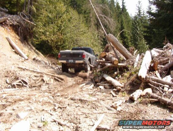 Dark pickup truck on a rough, debris-filled forest road.
