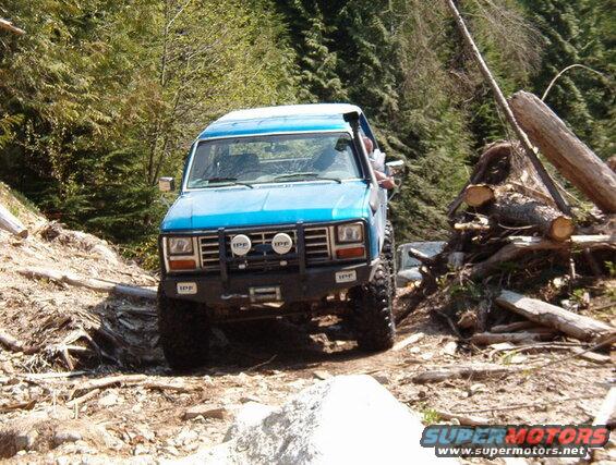 Blue Ford Bronco off-roading on a dirt trail with fallen trees.