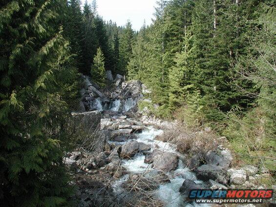 River flowing through a forest with evergreen trees and rocks.