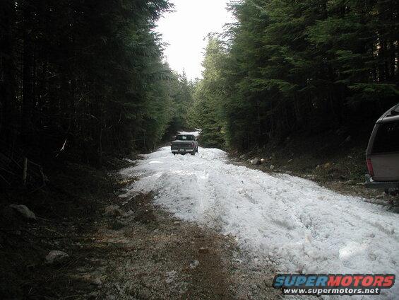 Pickup truck on a snowy forest road.